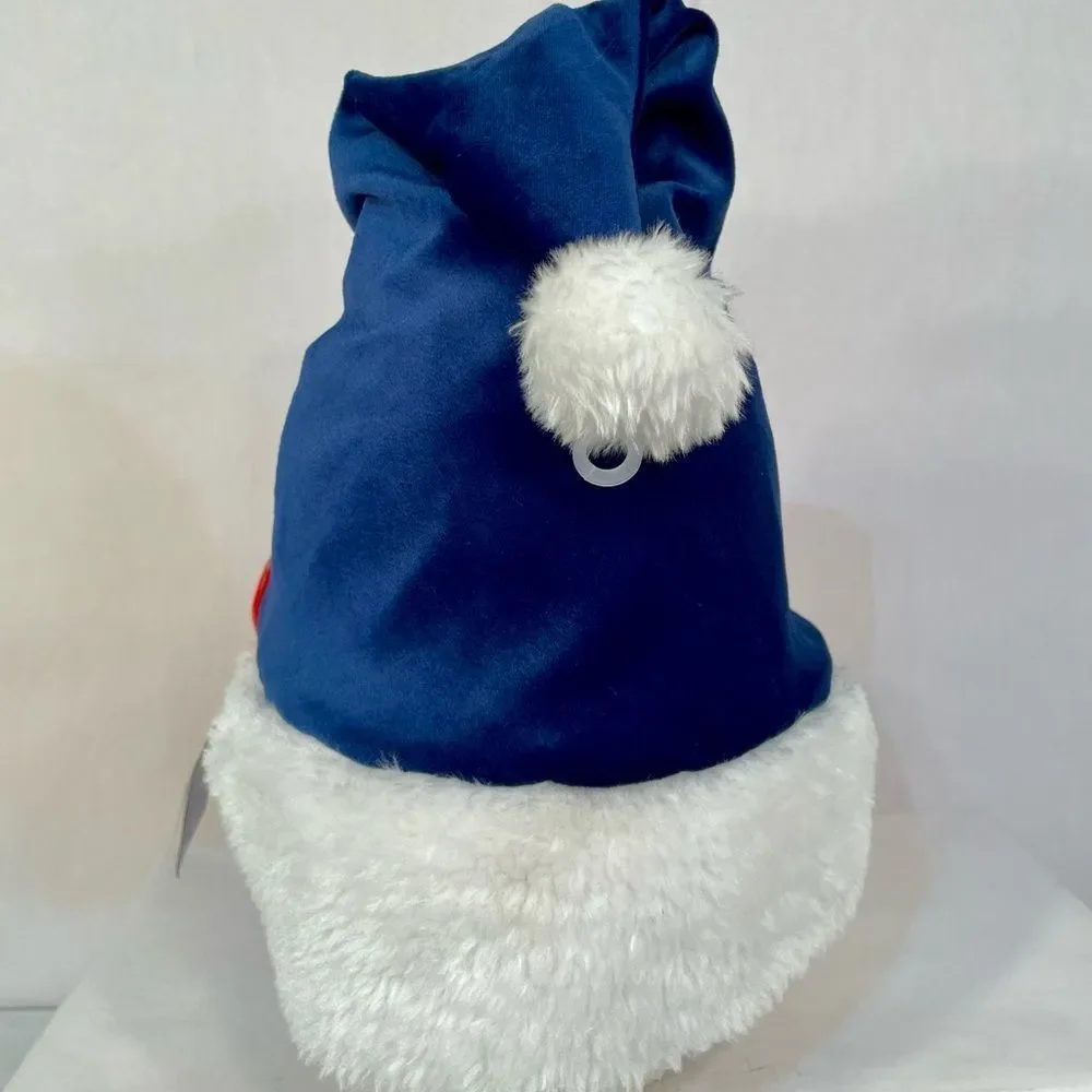 Red Sox World Series Champions Santa Hat